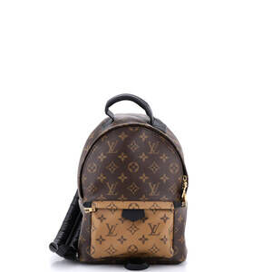 Louis Vuitton Palm Springs Backpack #252896L20B